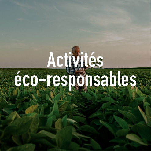 Activité éco-responsable